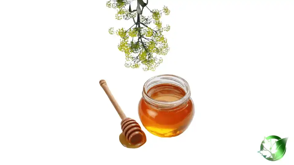 Bulk Ferula Honey | Suppliers | Wholesale | ParsaFood Global